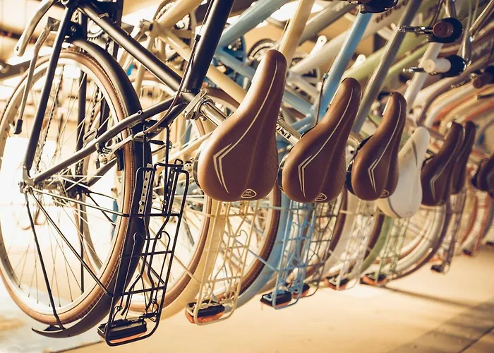 Il Tulipano 3* ריצ'יונה